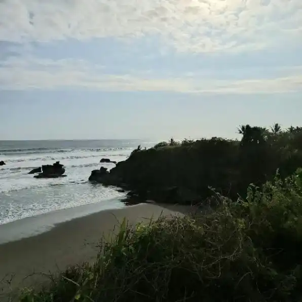 Dijyal 1,786 Ha. LOSS Tebing Pantai Balian Lalang Linggah Selemadeg Barat Tabanan