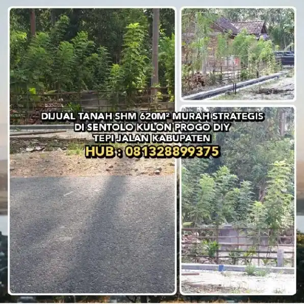 DIJUAL TANAH SHM 620M² MURAH STRATEGIS DI SENTOLO KULON PROGO DIY. TEPI JALAN KABUPATEN.