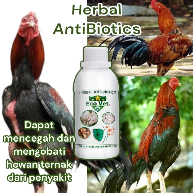 ecovet nutrisi untuk hewan peliharaan/ternak