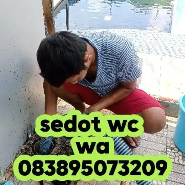 sedot wc bumiayu