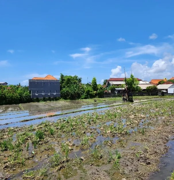 Dijual 16,25 are, Jl. Pura Beten Kepuh Pantai Berawa Canggu Kuta Utara