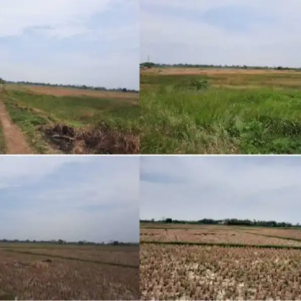 Dijual Tanah Sawah Luas Shm di Desa Bakung Tangerang