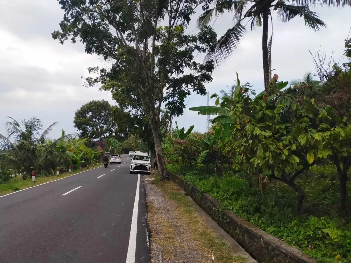 Jual Tanah Kebun Sangat Luas di Daerah Antosari Tabanan Bali