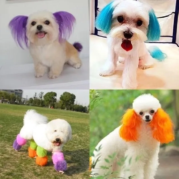 Semir Warna Rambut Bulu Anjing Kucing Pet Hair Coloring Aman Cat Dog Colouring