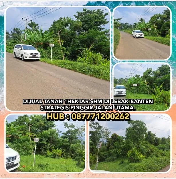 DIJUAL TANAH 1HEKTAR SHM DI LEBAK BANTEN. STRATEGIS TEPI JALAN UTAMA.H:087771200262