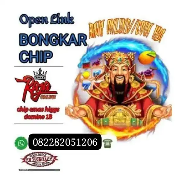 Terimah bongkaran chip hdi