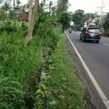 Dijual 1,3939 Ha. Jl. Raya Denpasar Singaraja Werdhibuana Mengwi Badung