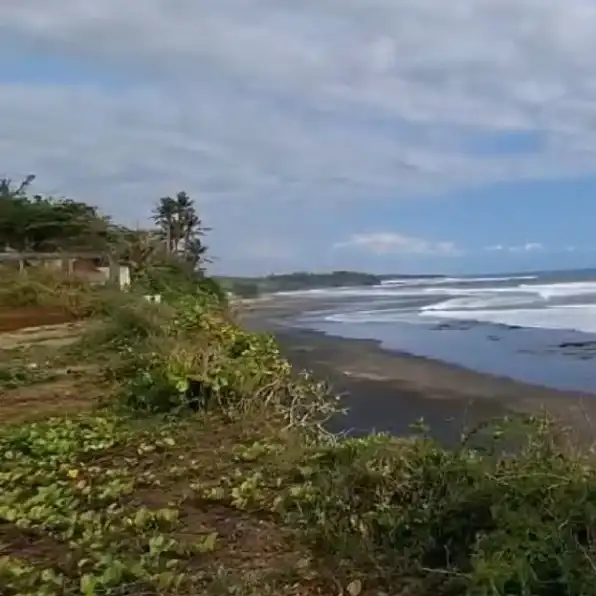 Dijyal 1,786 Ha. LOSS Tebing Pantai Balian Lalang Linggah Selemadeg Barat Tabanan