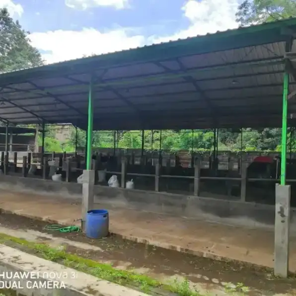 Jual Tanah dan Kandang Sapi di Area Balearjosari Kota Malang