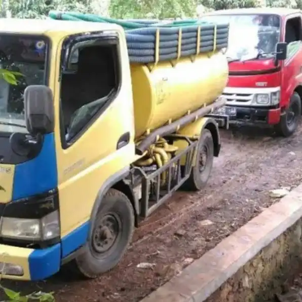 Sedot WC Paling Murah - Binong-Subang