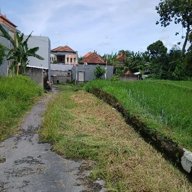 Dijual 17,45 are, Jl. Gadung Belulang Cica Kapal Abianbase Mengwi