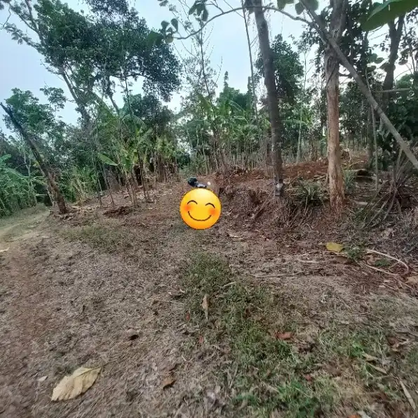 (BU) DIJUAL TANAH GUNUNG PATI KOTA SEMARANG