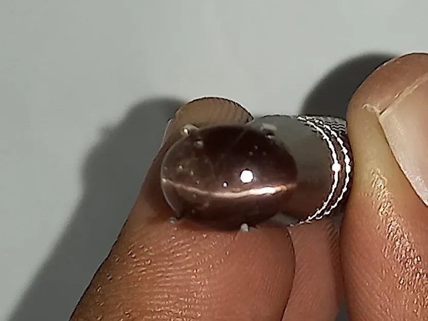 natural batu silimanite cat eye 2.65ct