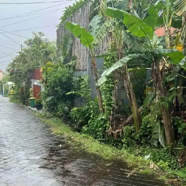 Dijual 2 are, Jl. Sri Krishna Raya Bedugul Kerobokan Kuta Utara