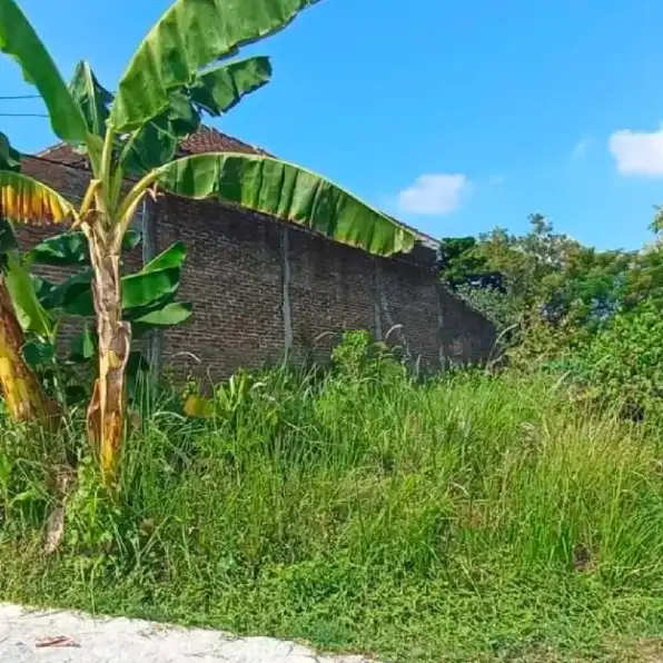 TANAH NGANTONG 90M2 DI PALUR NGRINGO JATEN KARANGANYAR 