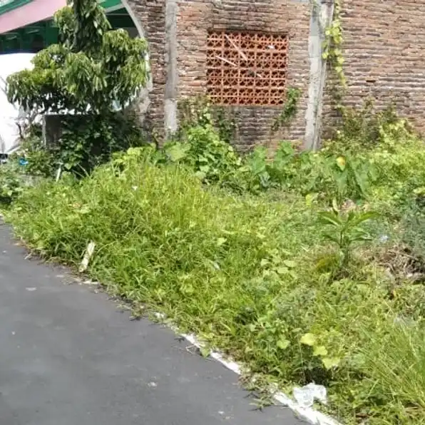 TANAH 128M2 DI PALUR NGRINGO JATEN KARANGANYAR 