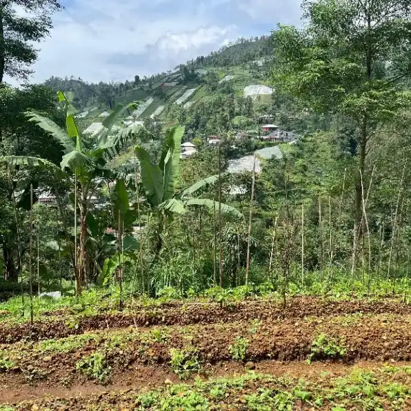 TANAH 326M2 DI AREA WISATA KEMUNING KARANGANYAR 