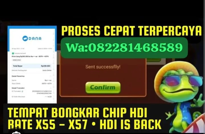 agen terima bongkaran chip hdi