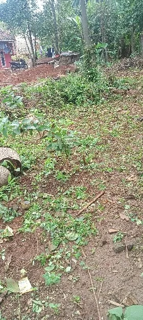 Di sewakan Tanah kosong cocok untuk gudang atau lapak rongsokan 