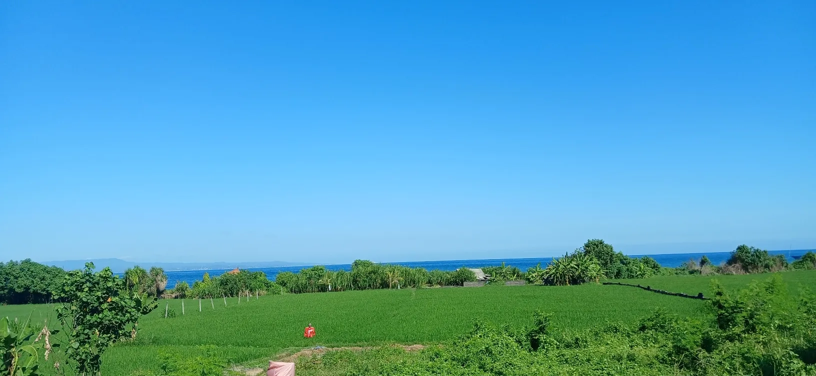 Disewakan tanah los pantai 50 are jl Ida Bagus Mantra Lebih Gianyar Bali