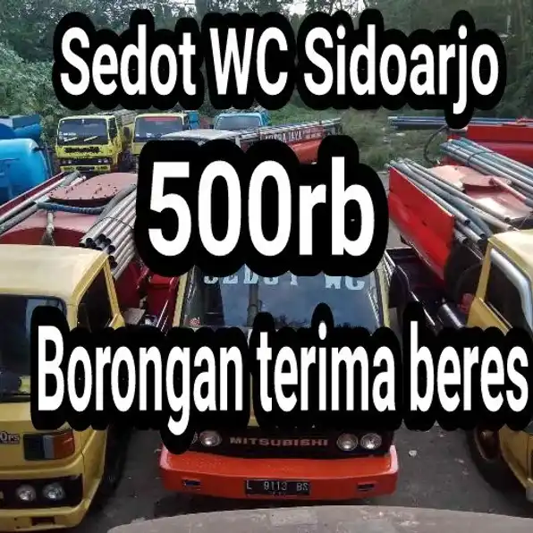 Sedot WC Sidoarjo 500rb  tlpn/wa  0856-4544-4336