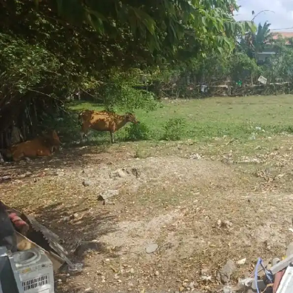 Dijual 4,8 are, Jl. Labak Indah Pura Demak Barat Mahendradata Denpasar