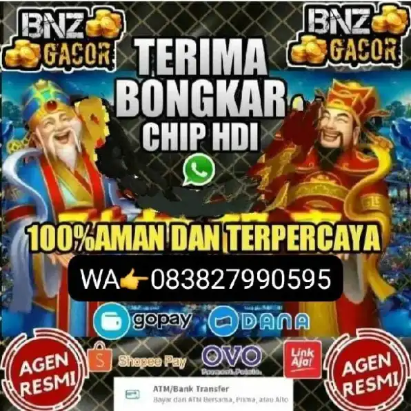 TERIMA BONGKAR COIN CHIP HDI CARI STOK bongkar