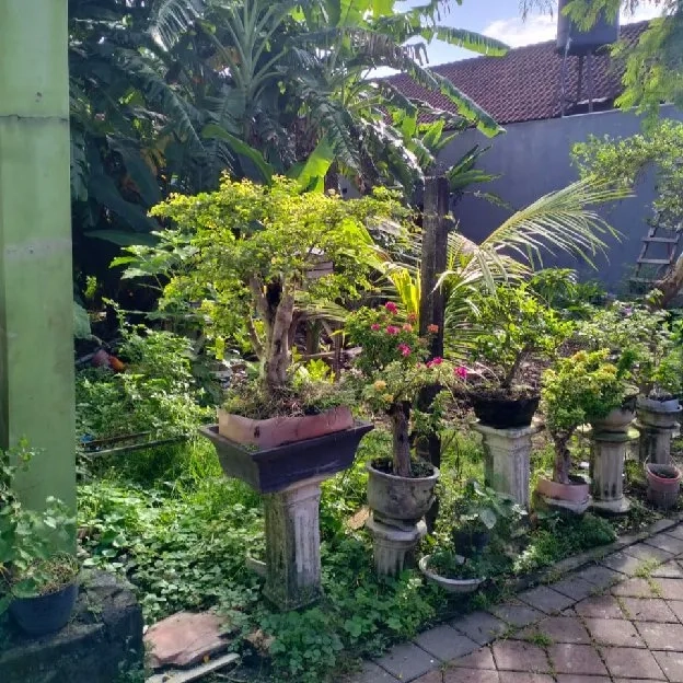 Dijual 2 are, Jl. Wayan Gentuh Tibung Sari Dalung Kuta Utara