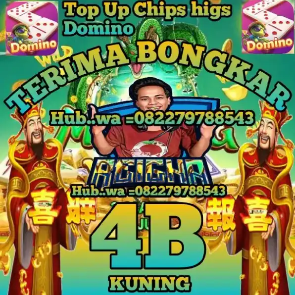 bongkar chips hig dmno 1B