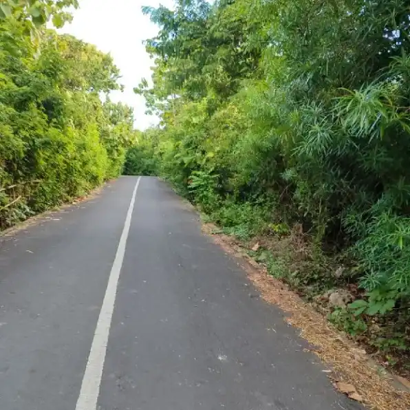 Dijual 1 Ha. Jl. Rurung Pudak Sari Dharmawangsa Benoa Kutuh Kuta Selatan