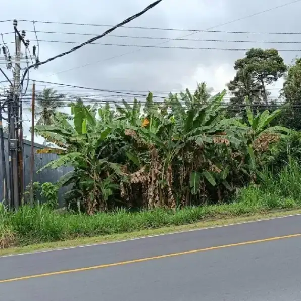 Dijual 6,35 are, Samping Gudang Coca Cola, Jl. Denpasar Singaraja Werdhibuana Mengwi Badung