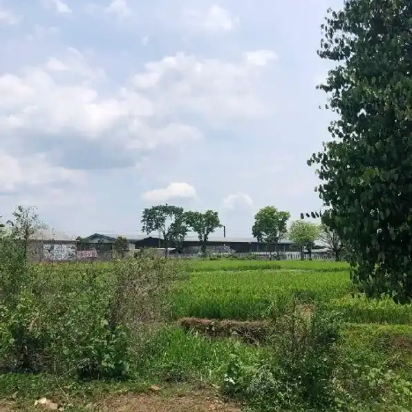 Tanah Sawah Zona Kuning Utara Jalan Solo Tawangmangu 