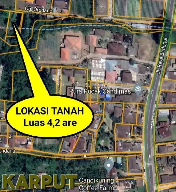 Dijual 4,2 are, Jl. Raya Bedugul Candikuning Baturiti Tabanan