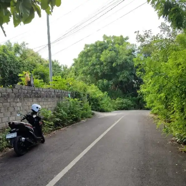 Dijual 1 Ha. Jl. Rurung Pudak Sari Dharmawangsa Benoa Kutuh Kuta Selatan