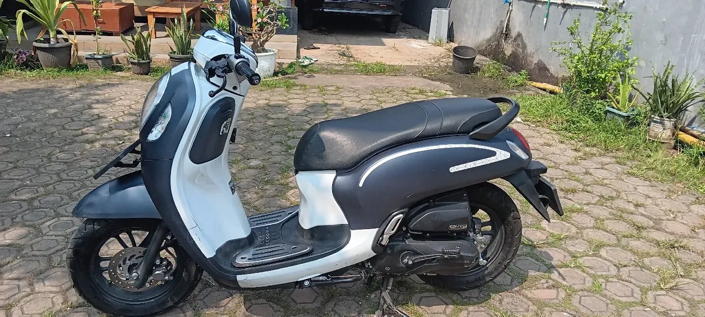 Honda New Scoopy Fashion 2023