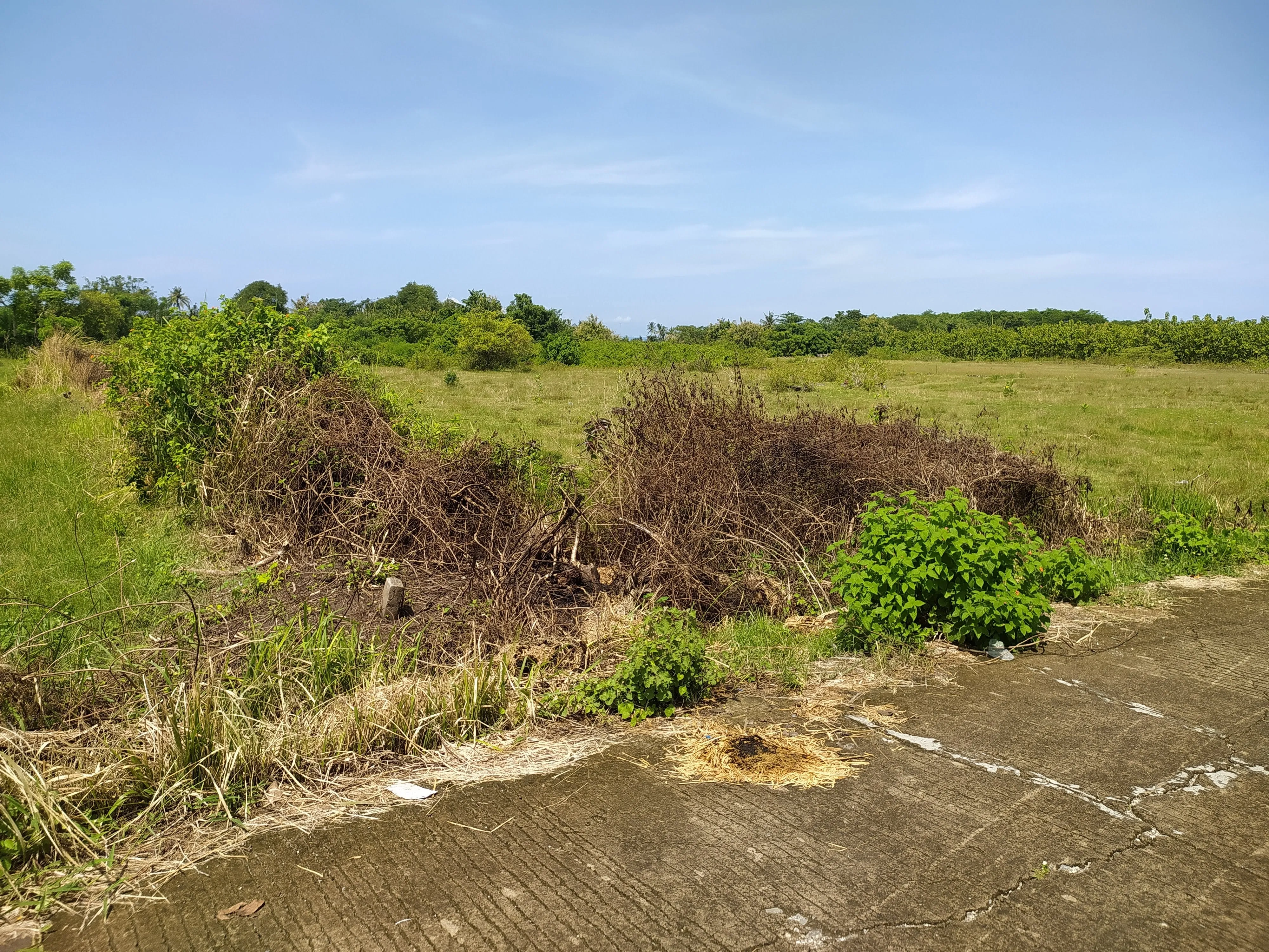 Dijual tanah 2,43 hektare di Pengambengan Negara Jembrana Bali