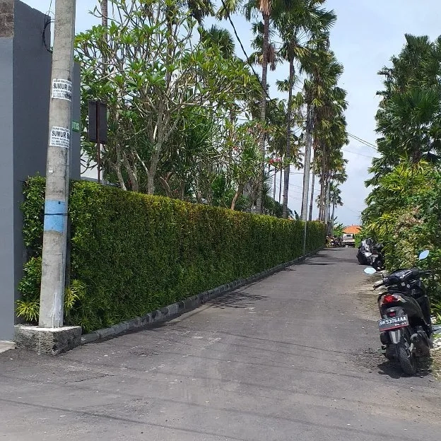 Dijual 11,67 are, Jl. Kayu Tulang Selatan Gg. Sotis Canggu Kuta Utara