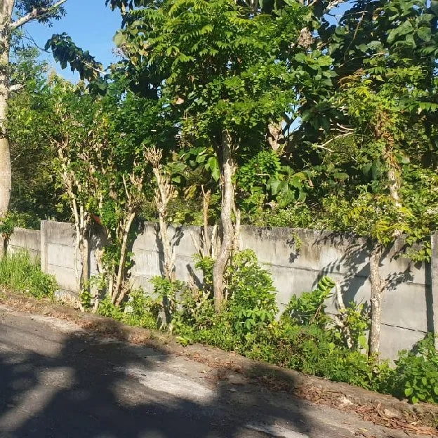 Dijual 95,5 are, Perum Beranda Bukit Jl. Melangkaja Ungasan Kuta Selatan