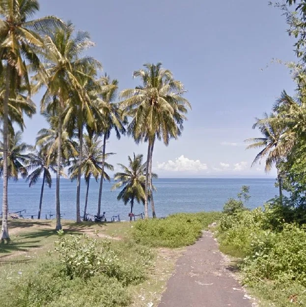 Dijual 8 Ha. Jl. Sahadewa Pantai BALUK RENING Negara Jembrana