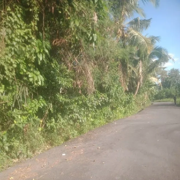 Dijual 1,225 Ha. Jl. Griya Mas Cepaka Tumbak Bayuh Pererenan Mengwi Badung