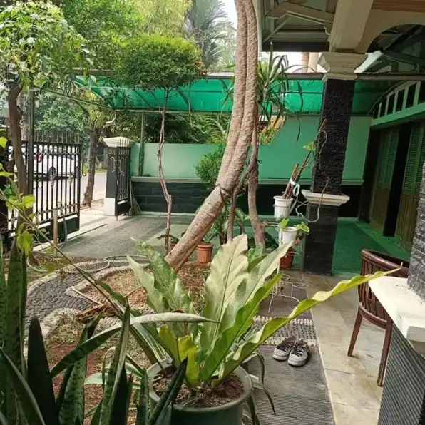 Jual Rumah Mewah Siap Huni Cempaka Putih Tengah Jakarta Pusat