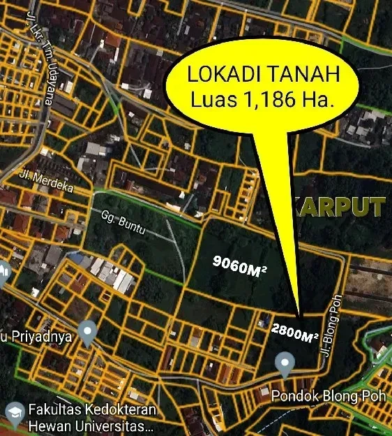 Dijual 1,186 Ha. Jl. Blong Poh Lkr. Tim. Udayana Jimbaran Kuta Selatan