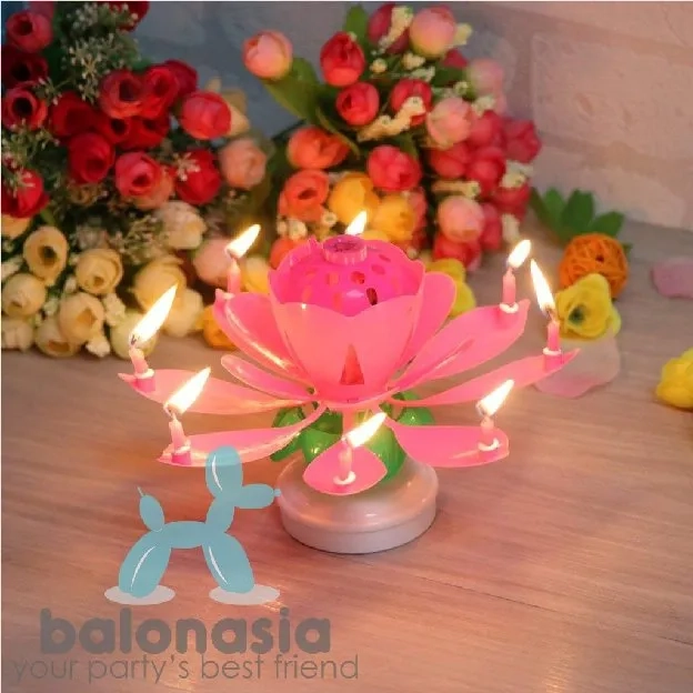 Lilin Lotus Ulang Tahun Musik