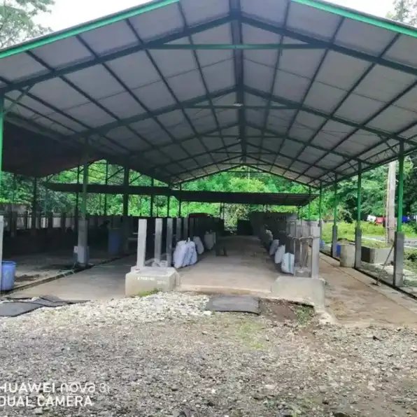 Jual Tanah dan Kandang Sapi di Area Balearjosari Kota Malang