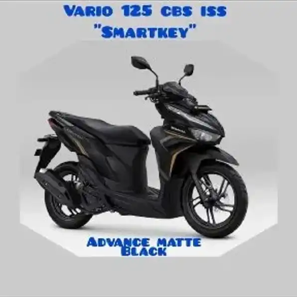 all type vario 125