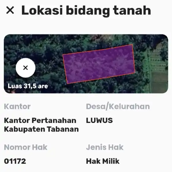 Dijual 31,5 are, Jl. Perean Tengah Mekarsari Baturiti LUWUS Tabanan