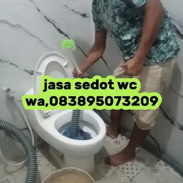 sedot wc banjarneqara