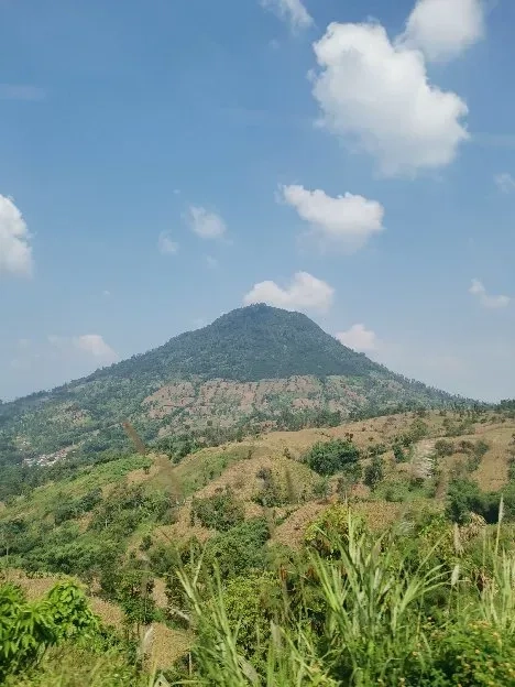 Sulingkan gunung