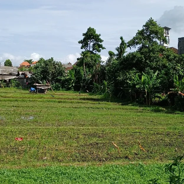 Dijual 10 are, Jl. Kebo Iwa Utara Samping BALI TV Denpasar