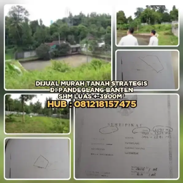 TANAH DIJUAL : TANAH MURAH STRATEGIS DI PANDEGLANG BANTEN.SHM LUAS ±3900M².H: 081218157475